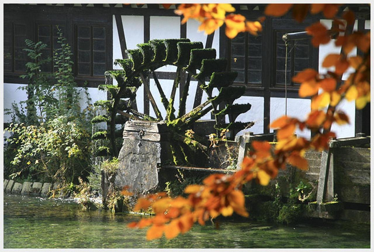 Hotel-Restaurant Ochsen Blaubeuren Extérieur photo